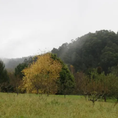 Auberge de jeunesse Hospederia San Jose