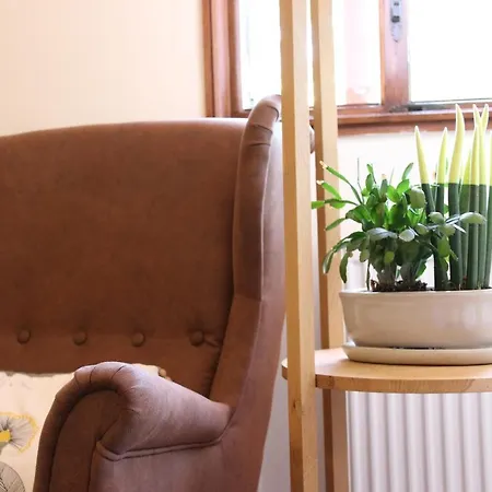 Hospederia San Jose Auberge de jeunesse *