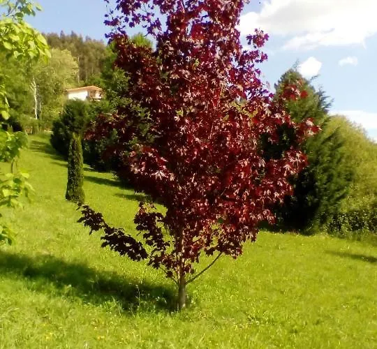 Hospederia San Jose * Derio