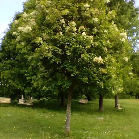 Hospederia San Jose Hostel Derio