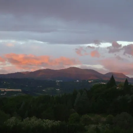 Hospederia San Jose * Derio