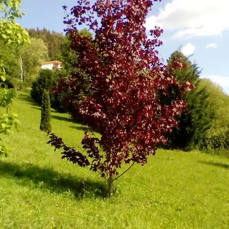 Hospederia San Jose * Derio