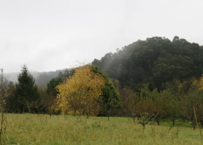 Hostel Hospederia San Jose